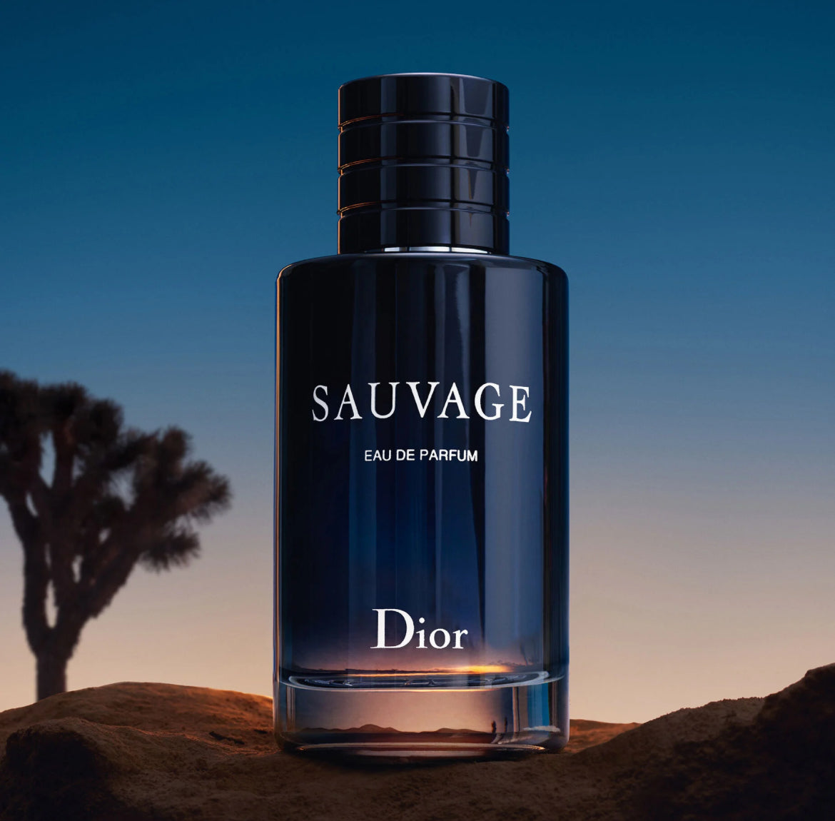 Dior - Sauvage Eau De Parfum