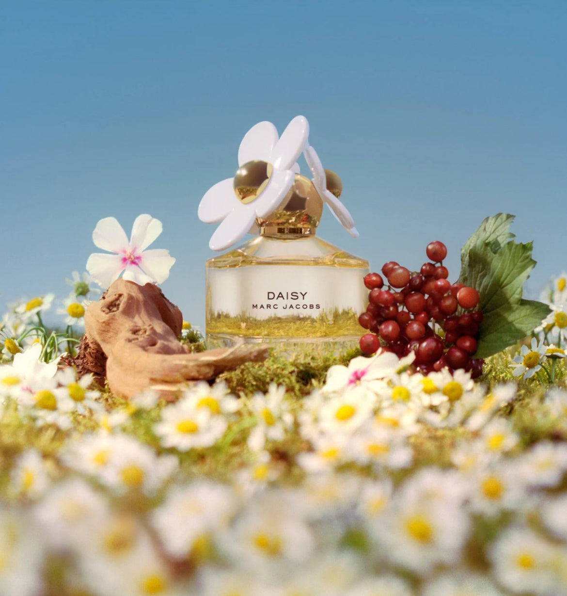Marc Jacobs - Daisy Eau De Toilette