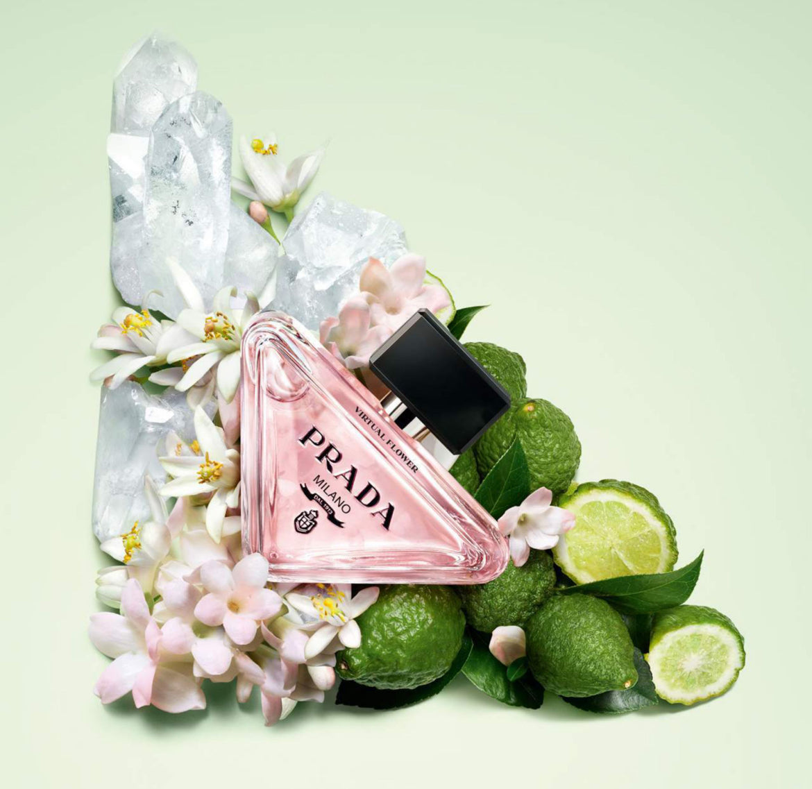 Flower’s Addict - Package