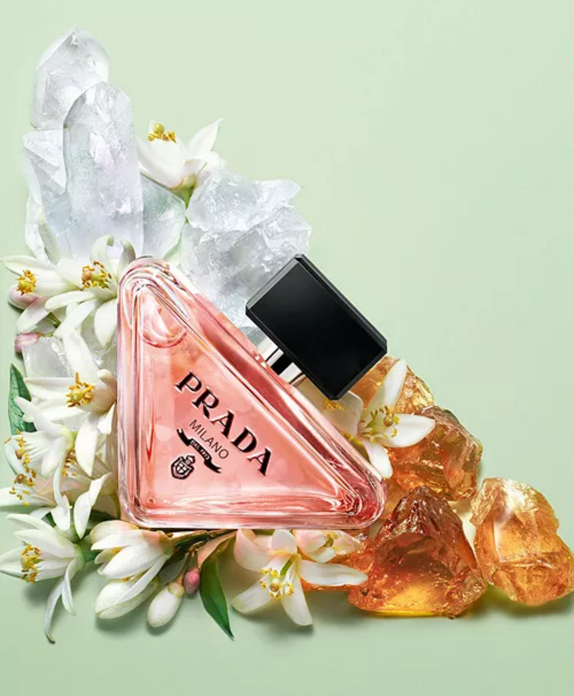 Prada - Paradoxe Set